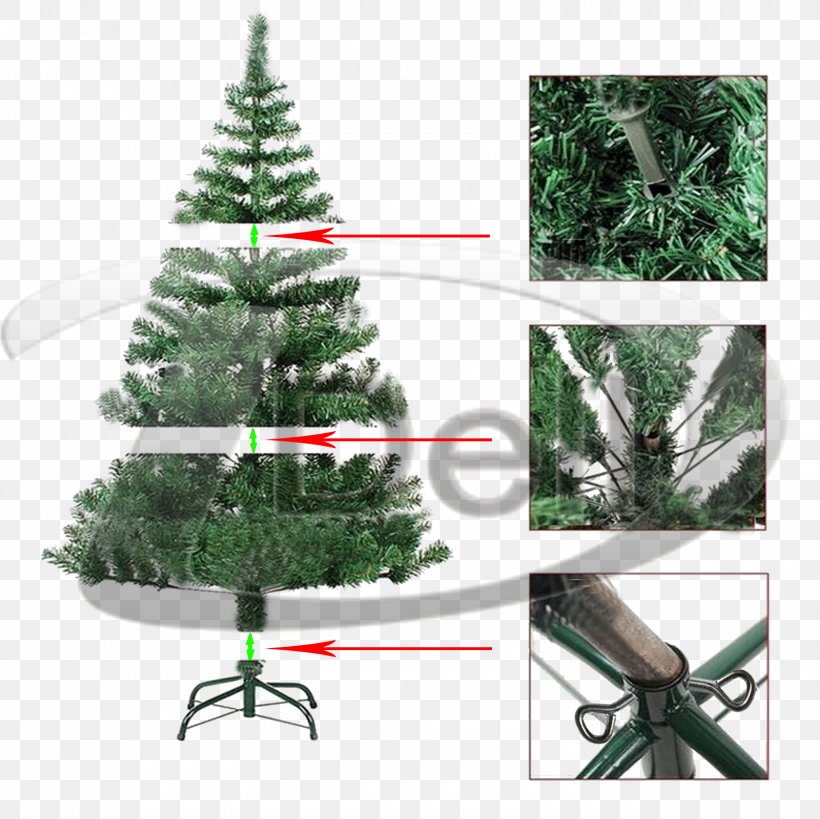 Christmas Tree Fir Spruce Pine, PNG, 1600x1600px, Christmas Tree, Christmas, Christmas Decoration, Christmas Ornament, Conifer Download Free