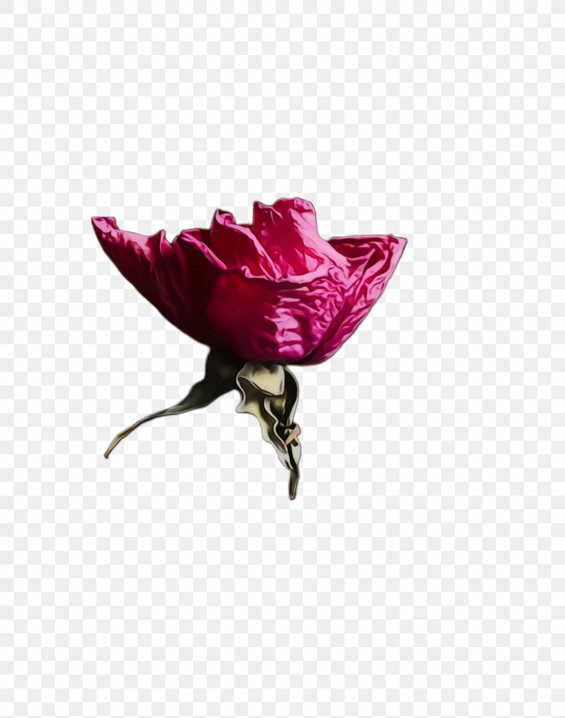 Pink Flower Petal Red Violet, PNG, 1772x2256px, Watercolor, Flower, Flowering Plant, Magenta, Paint Download Free