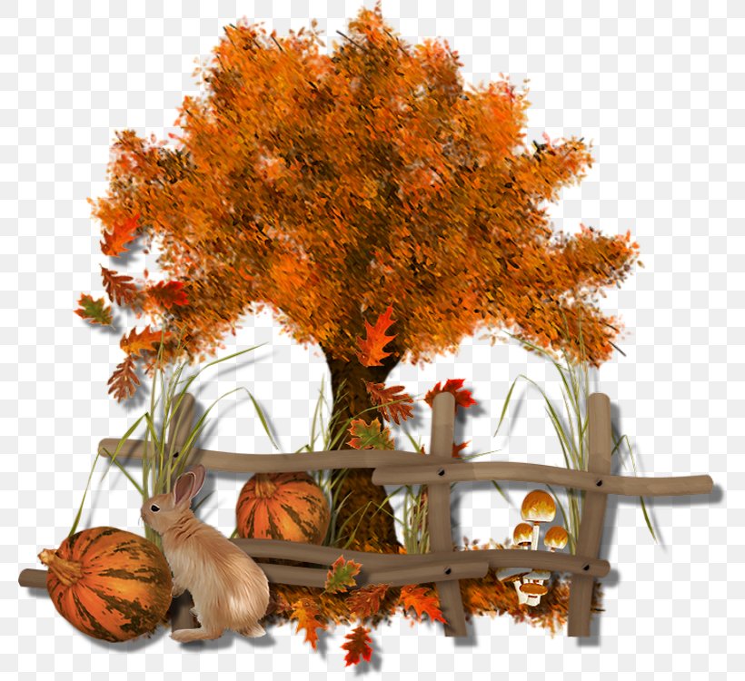 Autumn Leaf Color Tree Autumn Leaf Color Clip Art, PNG, 780x750px, Autumn, Autumn Leaf Color, Branch, Floral Design, Leaf Download Free