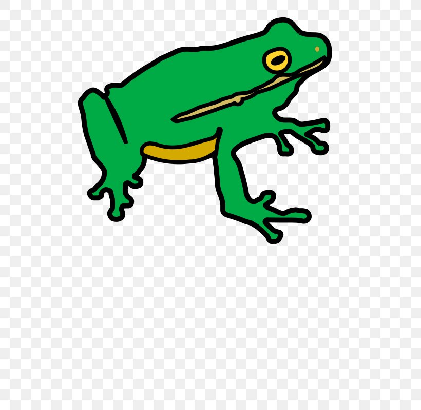 Clip Art The Tree Frog Amphibians, PNG, 566x800px, Frog, American Bullfrog, American Water Frogs, Amphibian, Amphibians Download Free