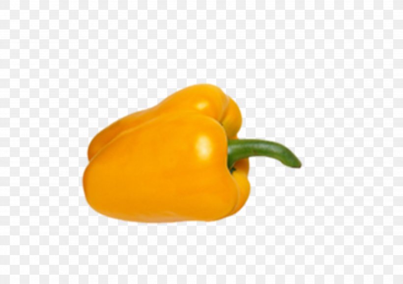 Habanero Bell Pepper Yellow Pepper Chili Pepper Outer Space, PNG, 3508x2480px, Habanero, Bell Pepper, Bell Peppers And Chili Peppers, Capsicum, Capsicum Annuum Download Free