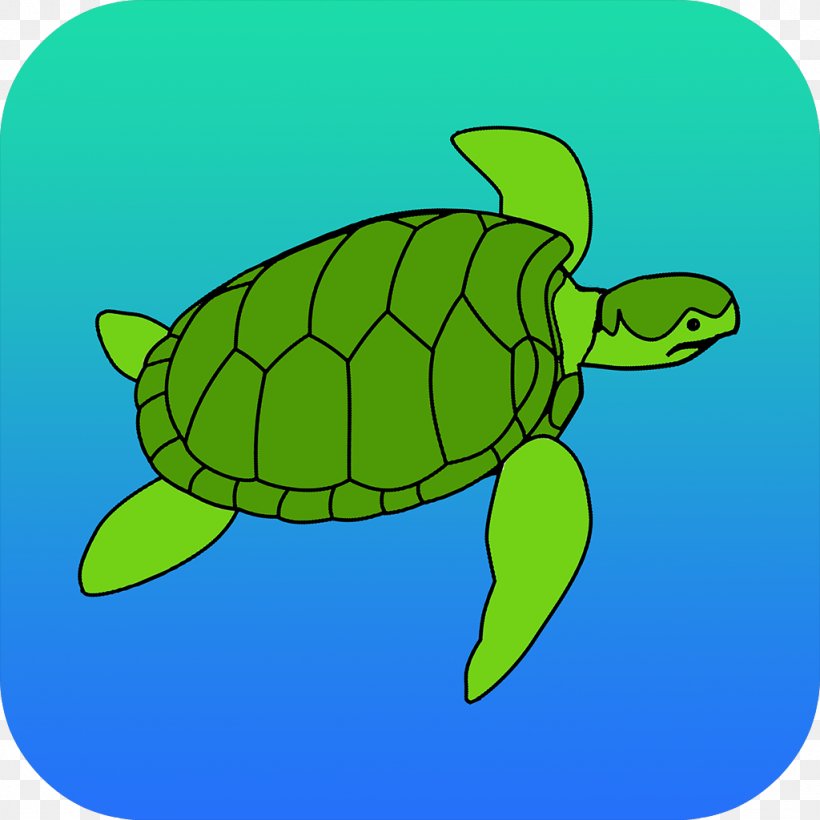 Loggerhead Sea Turtle Tortoise Clip Art, PNG, 1024x1024px, Loggerhead Sea Turtle, Artwork, Fauna, Green, La Quinta Inns Suites Download Free
