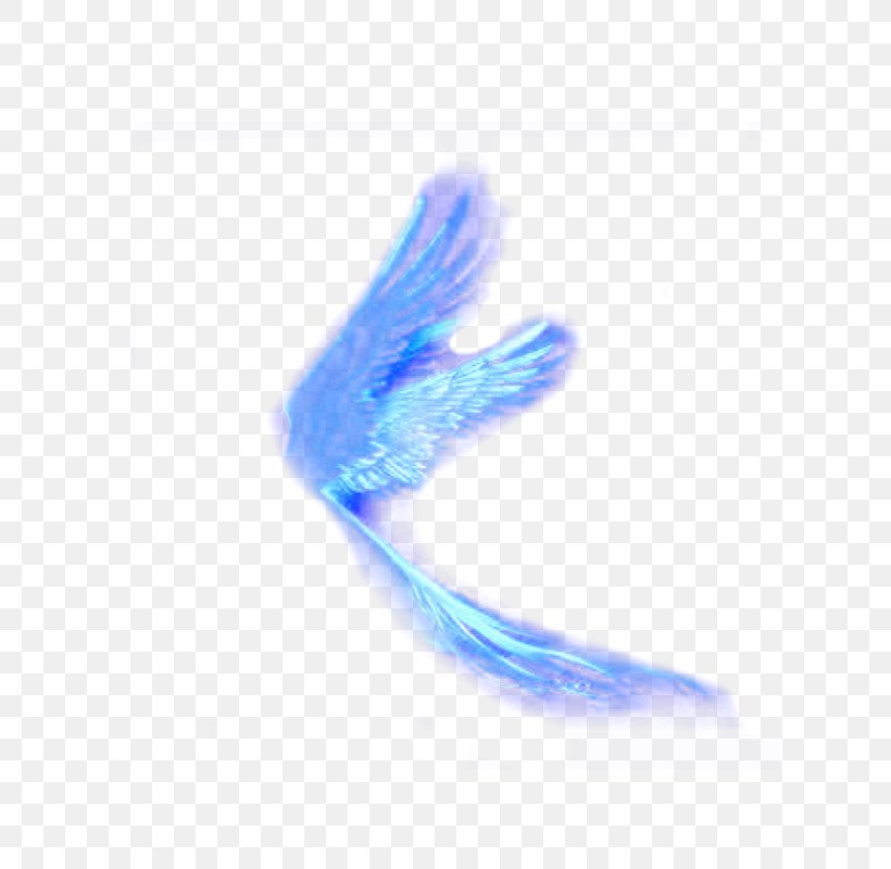 Feather Wing Designer, PNG, 800x800px, Feather, Azure, Blue, Closeup, Cobalt Blue Download Free