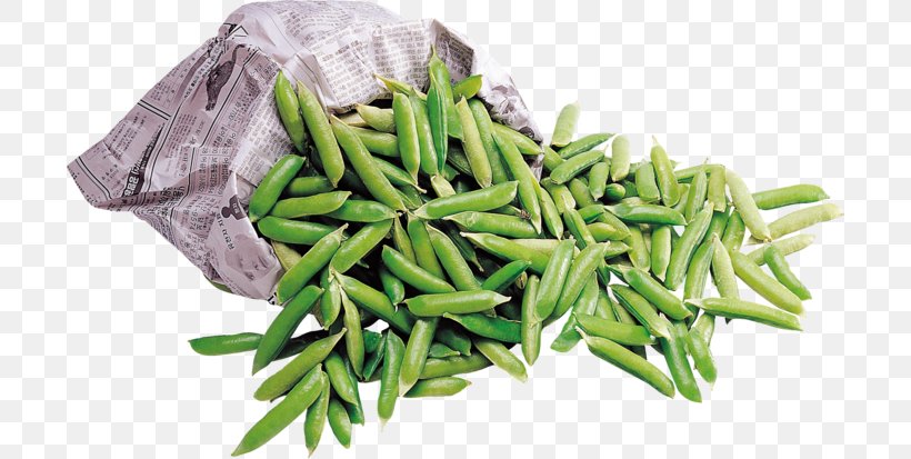 Green Bean Common Bean Lima Bean Crop Yield, PNG, 700x413px, Green Bean, Bean, Canker, Commodity, Common Bean Download Free