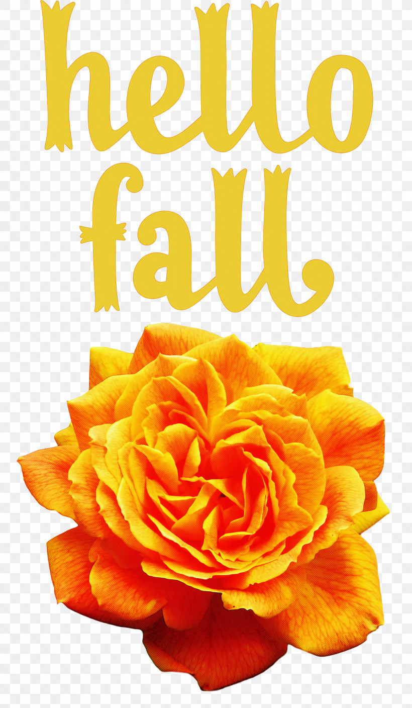 Hello Fall Fall Autumn, PNG, 1746x3000px, Hello Fall, Autumn, Cut Flowers, Data, Drawing Download Free