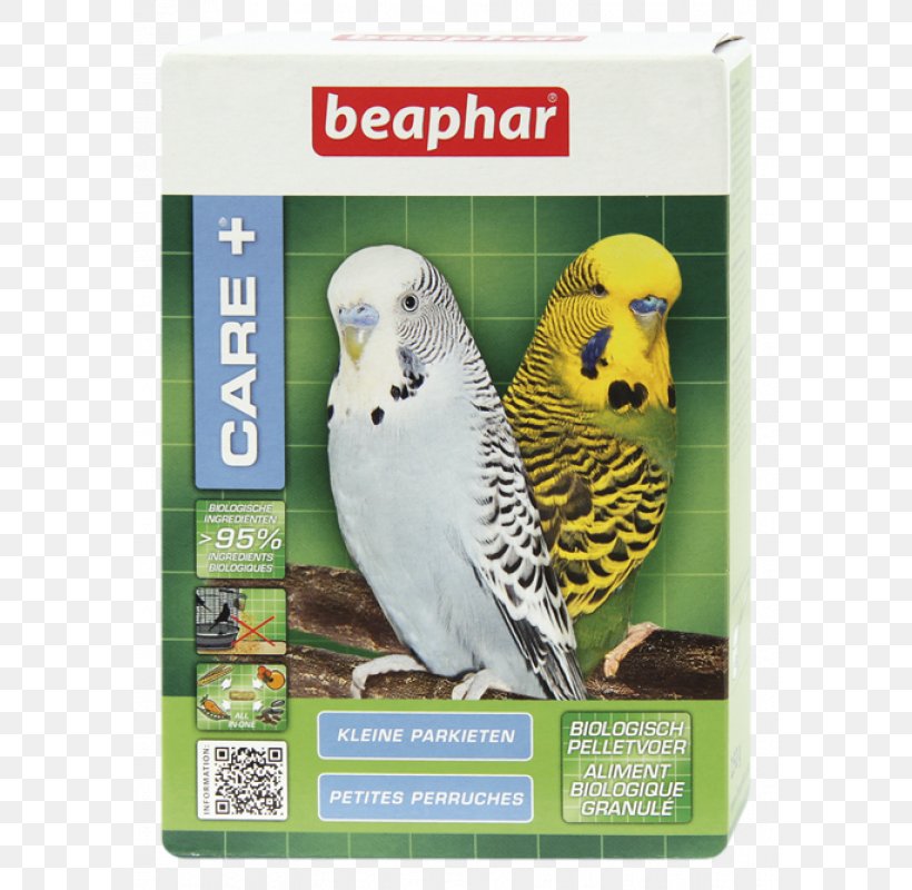 Parrot Budgerigar Lovebird Cockatiel, PNG, 800x800px, Parrot, Alexandrine Parakeet, Aviary, Beak, Bird Download Free
