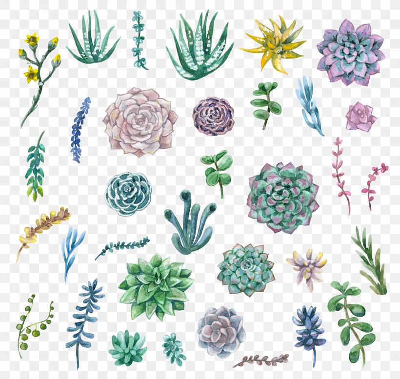 Watercolor Painting Succulent Plant Clip Art, PNG, 4220x4000px, Watercolor Painting, Art, Cactaceae, Drawing, Flora Download Free