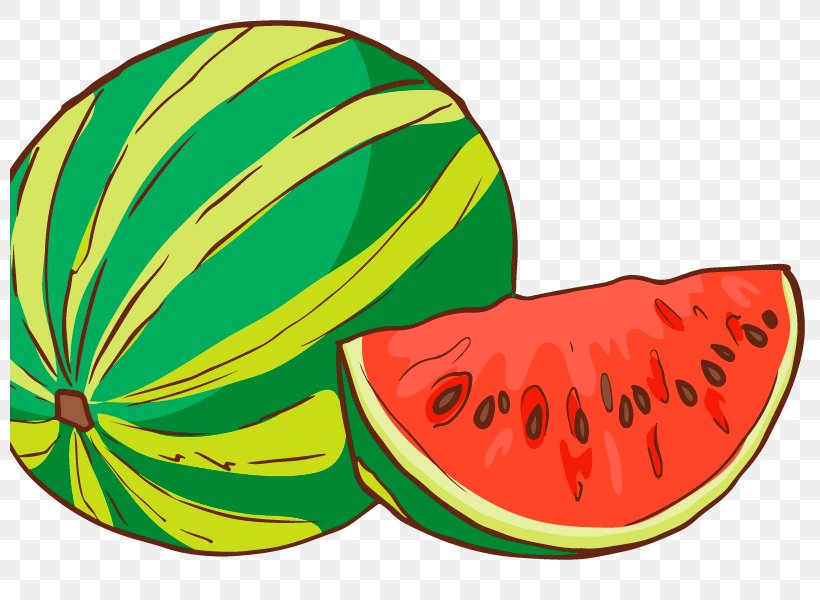 Watermelon Clip Art Vector Graphics Design Dribbble, PNG, 800x600px, Watermelon, Citrullus, Cucumber Gourd And Melon Family, Designer, Drawing Download Free