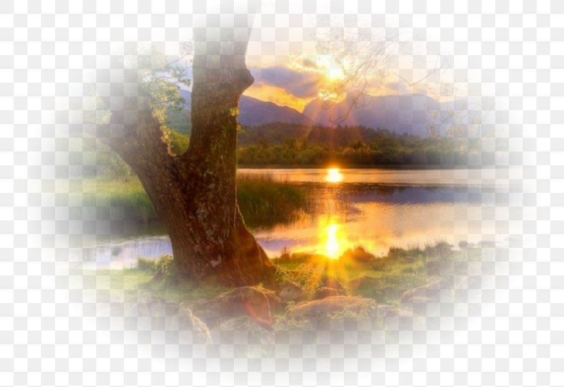 Blog Sunset Tree, PNG, 750x562px, Blog, Cloud, Dawn, Energy, Heat Download Free