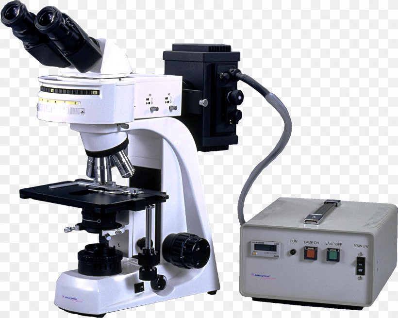 Fluorescence Microscope Optical Microscope Atomic Force Microscopy, PNG, 1775x1418px, Fluorescence Microscope, Atomic Force Microscopy, Biology, Digital Microscope, Fluorescence Download Free