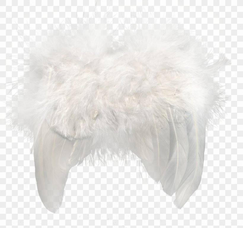 Fur Feather Snout, PNG, 3170x2970px, Fur, Feather, Snout Download Free