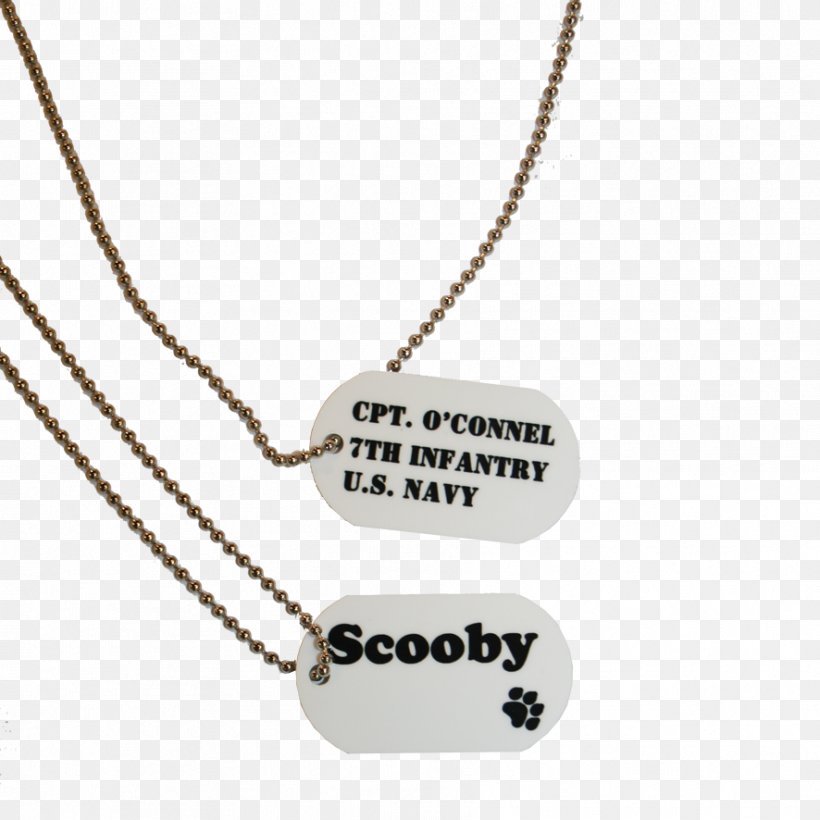 Necklace Charms & Pendants Chain Silver Font, PNG, 886x886px, Necklace, Chain, Charms Pendants, Fashion Accessory, Jewellery Download Free
