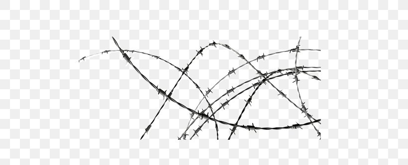Barbed Wire Stock Photography, PNG, 571x333px, Barbed Wire, Black And White, Branch, Depositphotos, Drawing Download Free