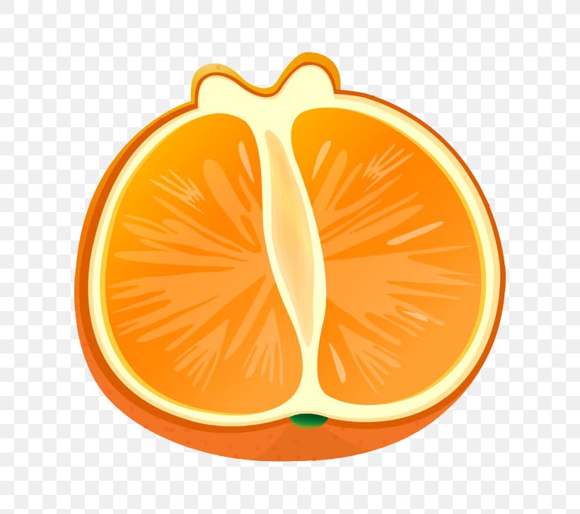 Blood Orange Grapefruit Greipfrutas, PNG, 682x727px, Orange, Auglis, Blood Orange, Drawing, Food Download Free