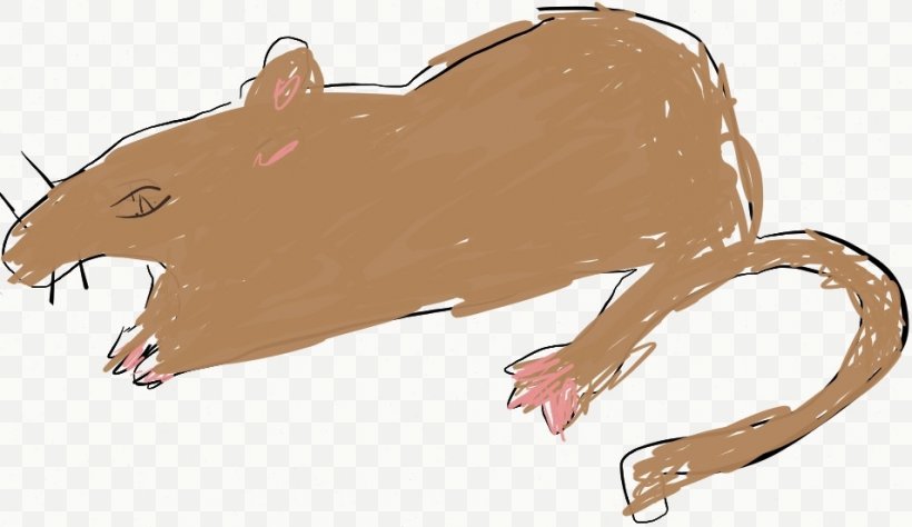 Brown Rat Mouse Black Rat Gerbil Clip Art, PNG, 955x553px, Brown Rat, Artwork, Beaver, Big Cats, Black Rat Download Free