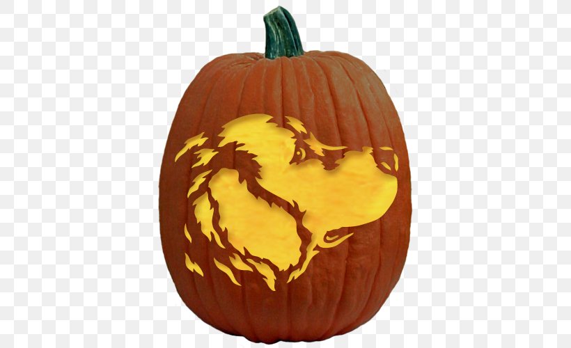 Calabaza Pumpkin Pie Jack-o'-lantern Carving, PNG, 500x500px, Calabaza, Abraham Lincoln, Carving, Cucurbita, Gourd Download Free