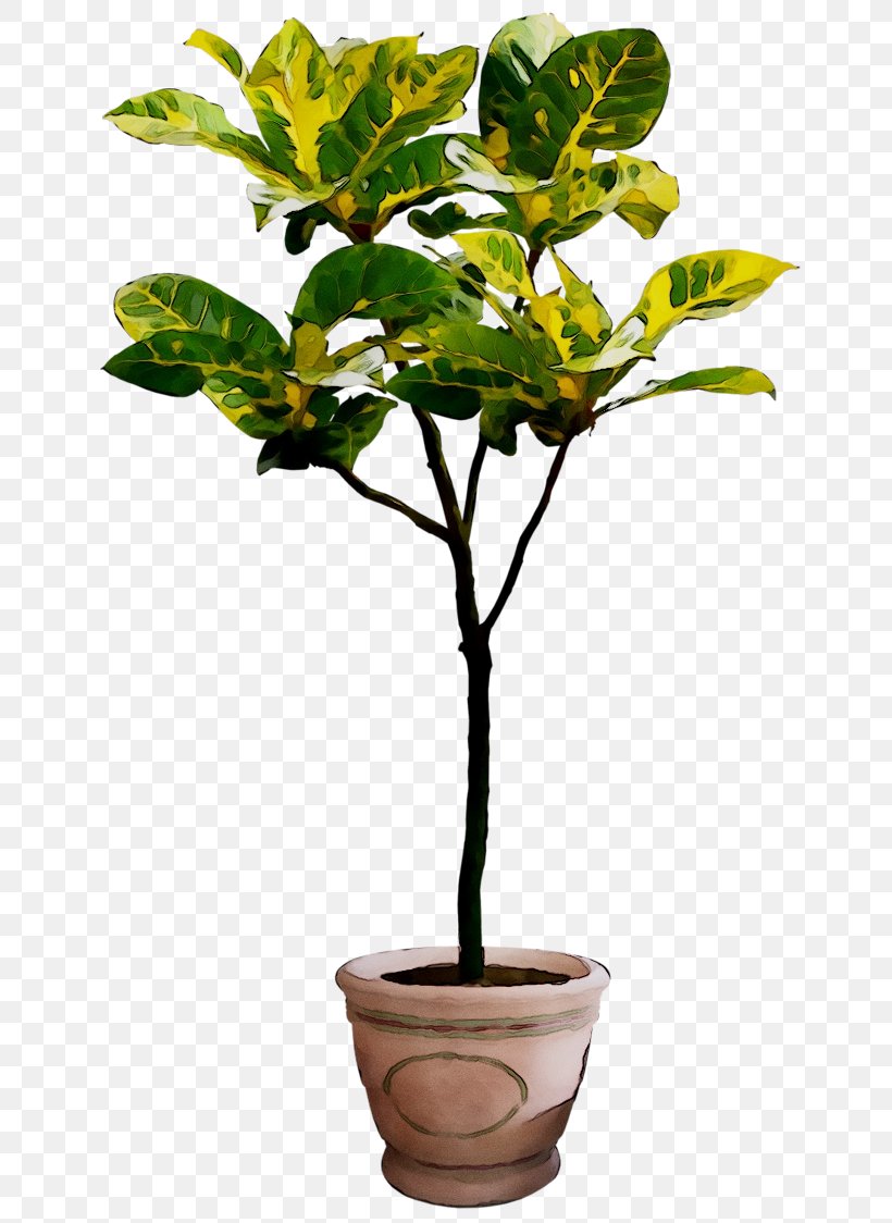 Clip Art Houseplant Plants Tree, PNG, 710x1124px, Houseplant, Dracaena, Flower, Flowering Plant, Flowerpot Download Free