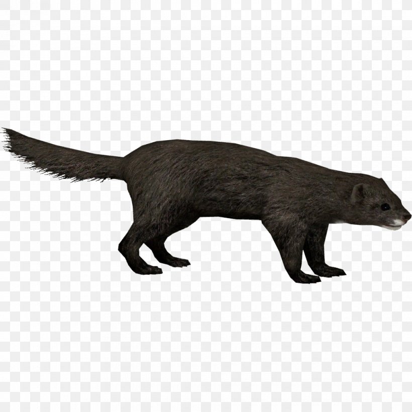 European Pine Marten Zoo Tycoon 2 Mink Viverridae, PNG, 1020x1020px, Zoo Tycoon 2, American Mink, Animal, Carnivora, Carnivoran Download Free