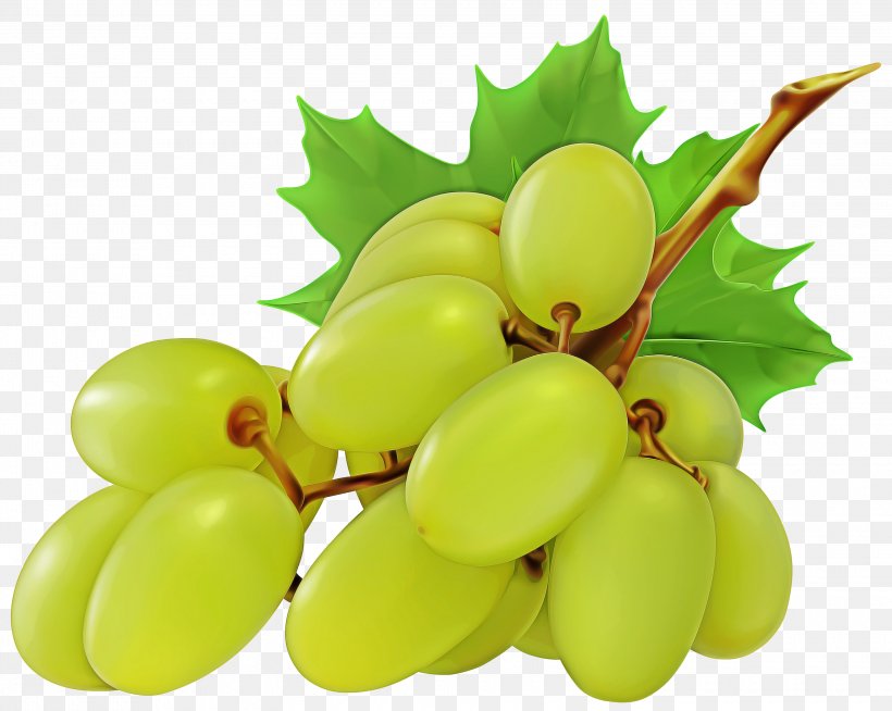 Green Leaf Background, PNG, 3000x2393px, Grape, Cepa, Color, Cyan, Dried Fruit Download Free