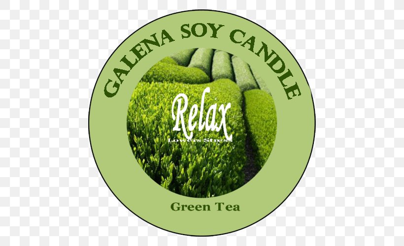 Green Tea Candle Logo, PNG, 500x500px, Green Tea, Brand, Candle, Cranberry, Grass Download Free