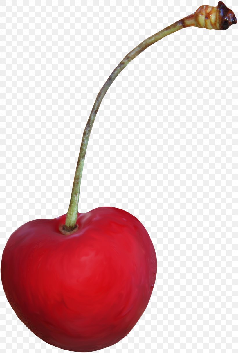 Maraschino Cherry Clip Art, PNG, 1431x2121px, Cherry, Apple, Auglis, Berry, Cerasus Download Free