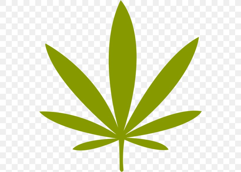 Medical Cannabis Dispensary Cannabis Shop Cannabis Smoking, PNG, 554x587px, Cannabis, Cannabis Culture, Cannabis Shop, Cannabis Smoking, Dispensary Download Free