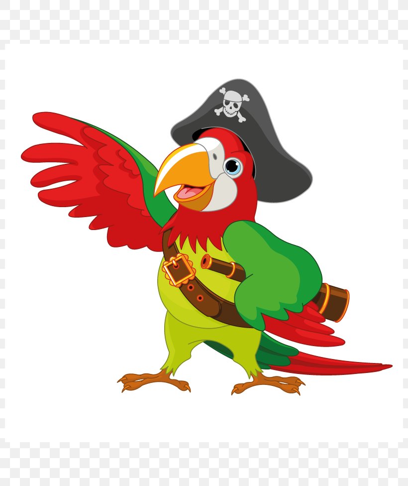 Pirate Parrot Clip Art, PNG, 800x976px, Parrot, Art, Beak, Bird, Chicken Download Free