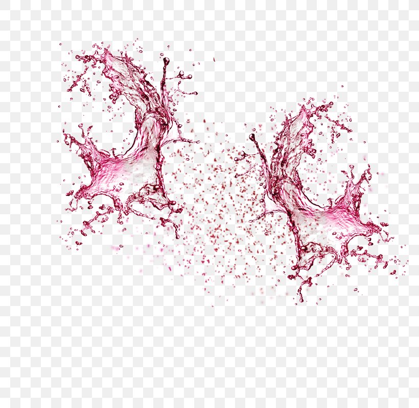 Red Wine Sparkling Wine Rosxe9, PNG, 800x800px, Red Wine, Blossom, Branch, Cherry Blossom, Color Download Free