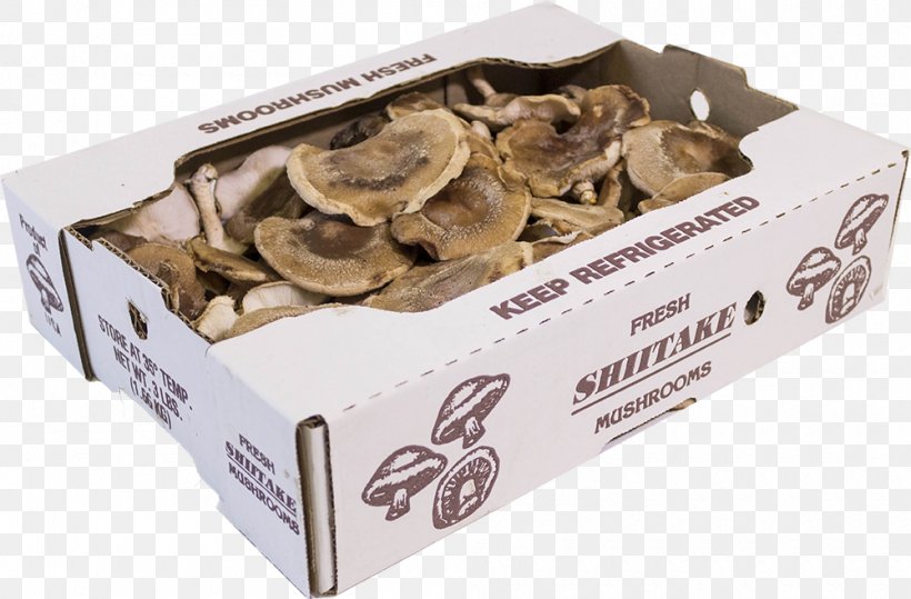 Shiitake Edible Mushroom Oyster Mushroom Hen-of-the-wood, PNG, 1000x658px, Shiitake, Common Mushroom, Edible Mushroom, Food, Fungus Download Free