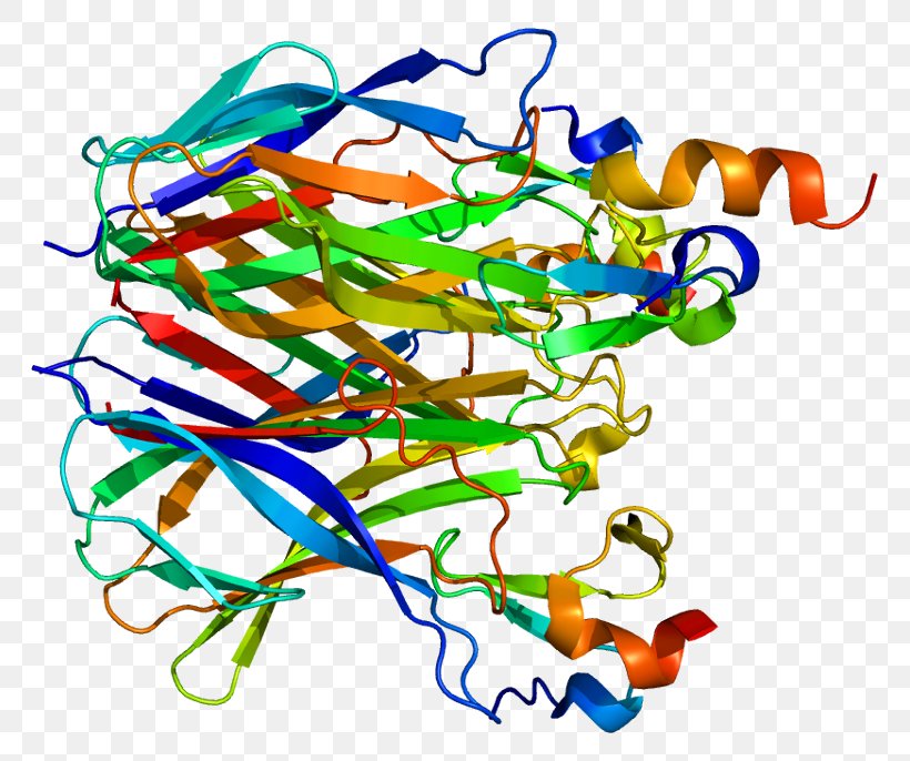 Transmembrane Activator And CAML Interactor TNF Receptor Superfamily Tumor Necrosis Factor Alpha Protein, PNG, 813x686px, Tnf Receptor Superfamily, April, Bcell Activating Factor, Body Jewelry, Cd30 Download Free