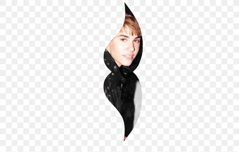 Dambo 18 October Justin Bieber, PNG, 522x521px, Watercolor, Cartoon, Flower, Frame, Heart Download Free