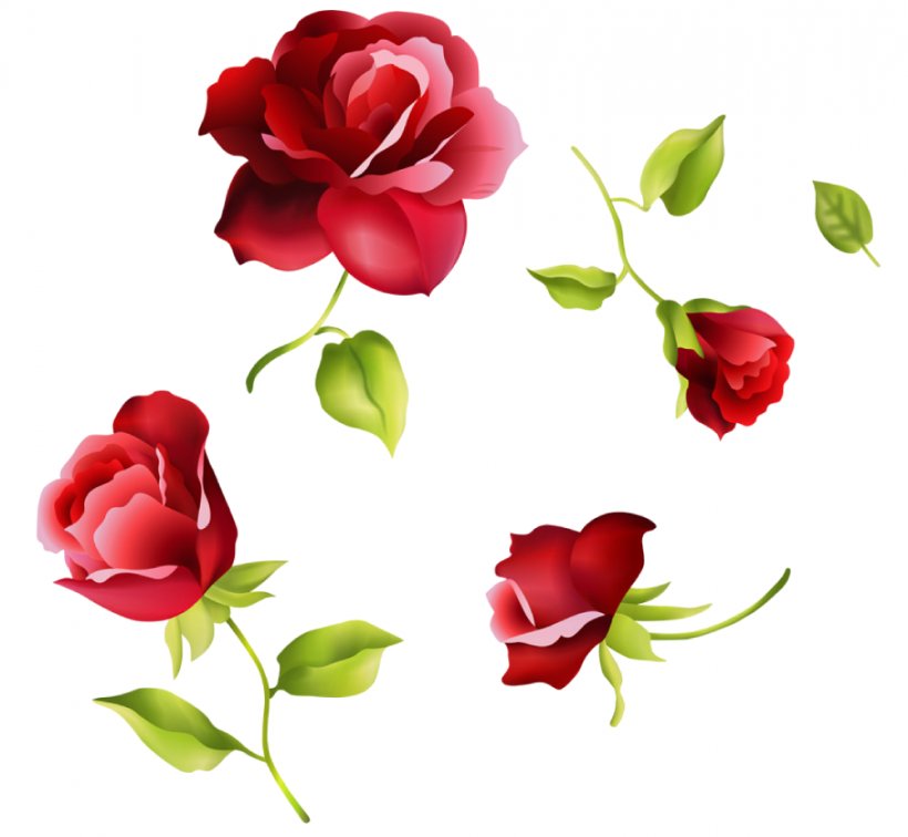 Beach Rose Valentine's Day Gift, PNG, 1002x924px, Beach Rose, Bud, China Rose, Cut Flowers, Festival Download Free