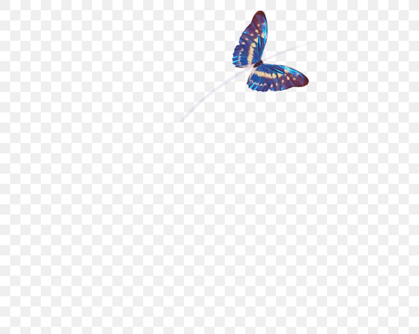 Butterfly Dating Single Person YouTube Russia, PNG, 512x654px, Butterfly, Country, Dating, Day Trading, Father Download Free