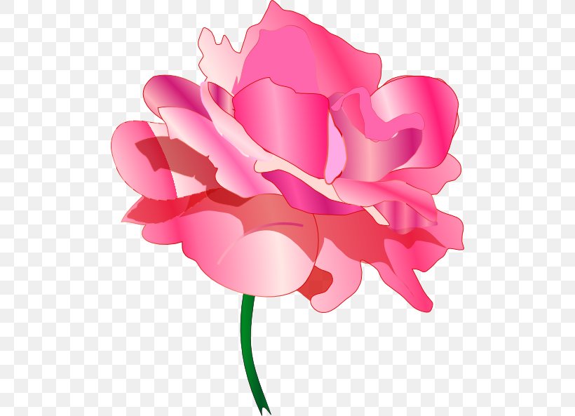 Garden Roses Cabbage Rose Cut Flowers Clip Art, PNG, 504x593px, Garden Roses, Cabbage Rose, Cut Flowers, Floral Design, Flower Download Free