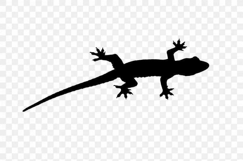 Gecko Lizard Fauna Font Silhouette, PNG, 1240x826px, Gecko, Amphibian, Animal, Fauna, Lizard Download Free