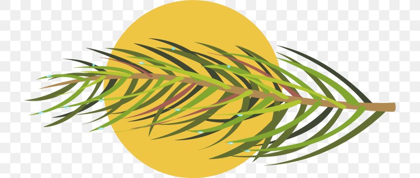 Grasses Leaf Plant Stem Clip Art, PNG, 726x349px, Grasses, Commodity, Family, Food, Fruit Download Free