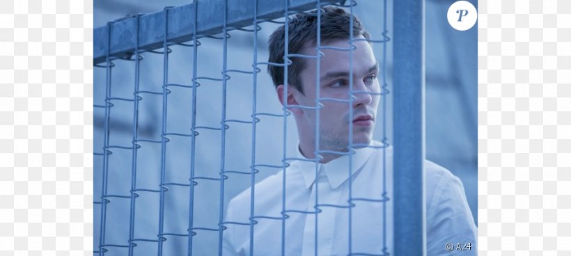 Nicholas Hoult Equals Film Director Love, PNG, 950x427px, Nicholas Hoult, Actor, Bel Powley, Blue, Cage Download Free