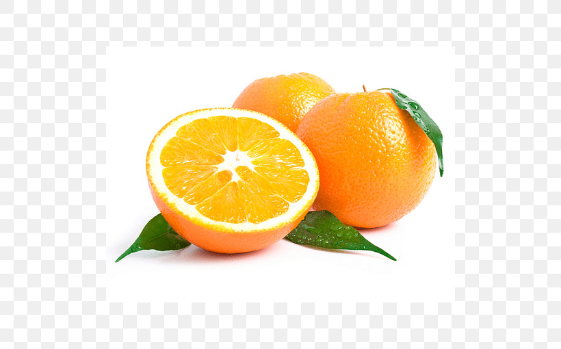 Orange, PNG, 510x510px, Citrus, Bitter Orange, Calamondin, Citric Acid, Citron Download Free