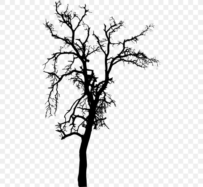 Clip Art Silhouette Tree Vector Graphics, PNG, 480x754px, Silhouette, Blackandwhite, Branch, Drawing, Leaf Download Free