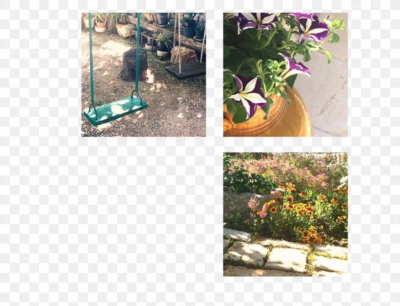 Soil Fauna Plastic Landscaping Houseplant, PNG, 1008x773px, Soil, Fauna, Flora, Flowerpot, Garden Download Free