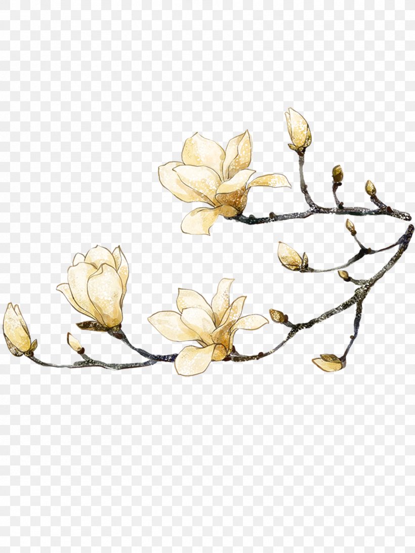 Clip Art Image Yulan Magnolia Design, PNG, 1772x2362px, Yulan Magnolia, Branch, Cut Flowers, Flower, Flowering Plant Download Free