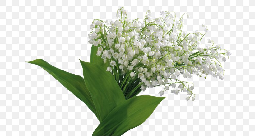 Цветы Landishi Lily Of The Valley Photography, PNG, 700x436px, Landishi, Cut Flowers, Floral Design, Flower, Flower Bouquet Download Free
