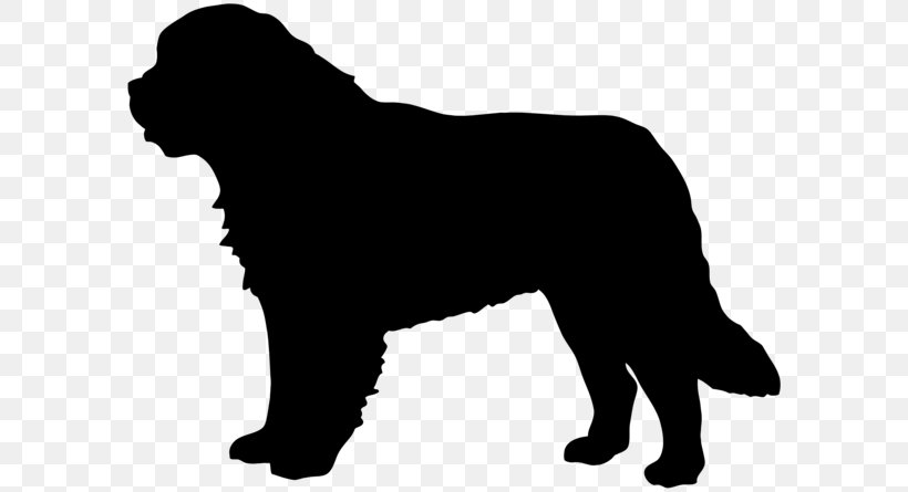St. Bernard Newfoundland Dog Dobermann Great Dane Miniature Schnauzer, PNG, 600x445px, St Bernard, Black, Black And White, Carnivoran, Dobermann Download Free