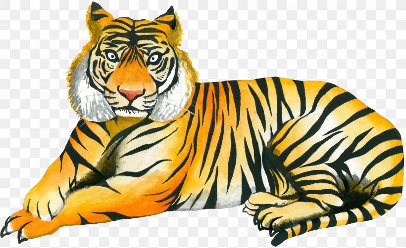 Tiger Cat Whiskers Wildlife Illustration, PNG, 4772x2924px, Tiger, Art, Big Cat, Big Cats, Carnivoran Download Free