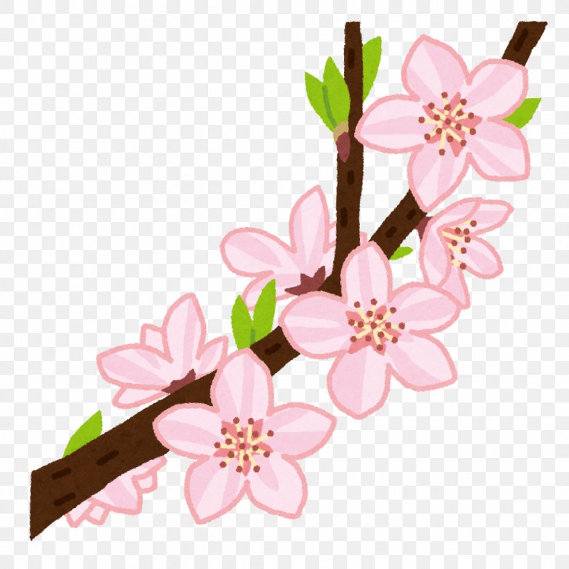 Toyota Hanno Suzuka Yamamoto Orthopedic Clinic 注文をまちがえる料理店 Kawaguchi, PNG, 1111x1111px, Toyota, Blossom, Branch, Cherry Blossom, Cut Flowers Download Free