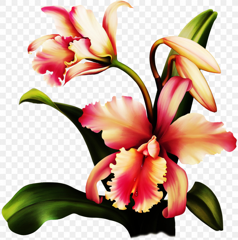 Artificial Flower, PNG, 2968x3000px, Flower, Artificial Flower, Cattleya, Cut Flowers, Dendrobium Download Free