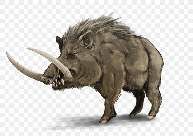 De Montfort University Wild Boar LE1 9BH Calydonian Boar Graduation Ceremony, PNG, 3508x2480px, De Montfort University, Animal, Art, Fauna, Gateway Download Free