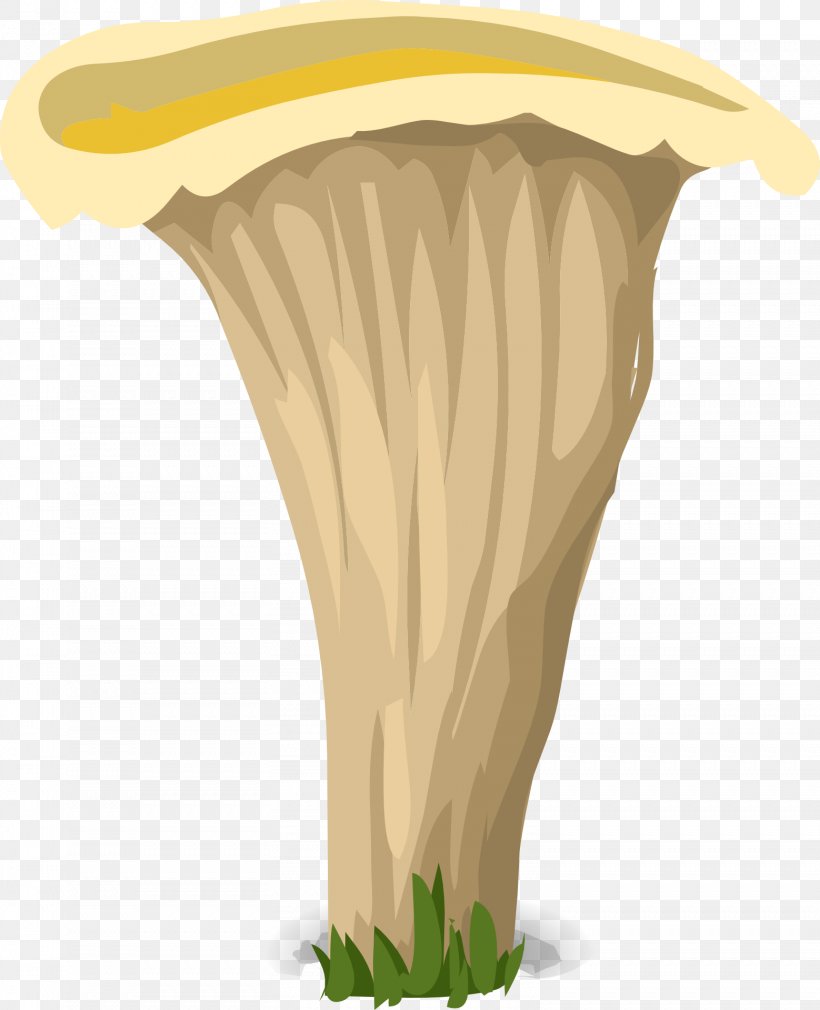 Fungus Mushroom Pileus Amanita Muscaria Yellow, PNG, 1558x1920px, Fungus, Agaric, Amanita Muscaria, Color, Common Mushroom Download Free