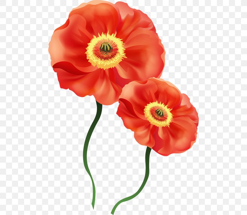 Poppy Flower Watercolor Painting Clip Art, PNG, 500x714px, Poppy, Anemone, Annual Plant, Art, Canvas Download Free