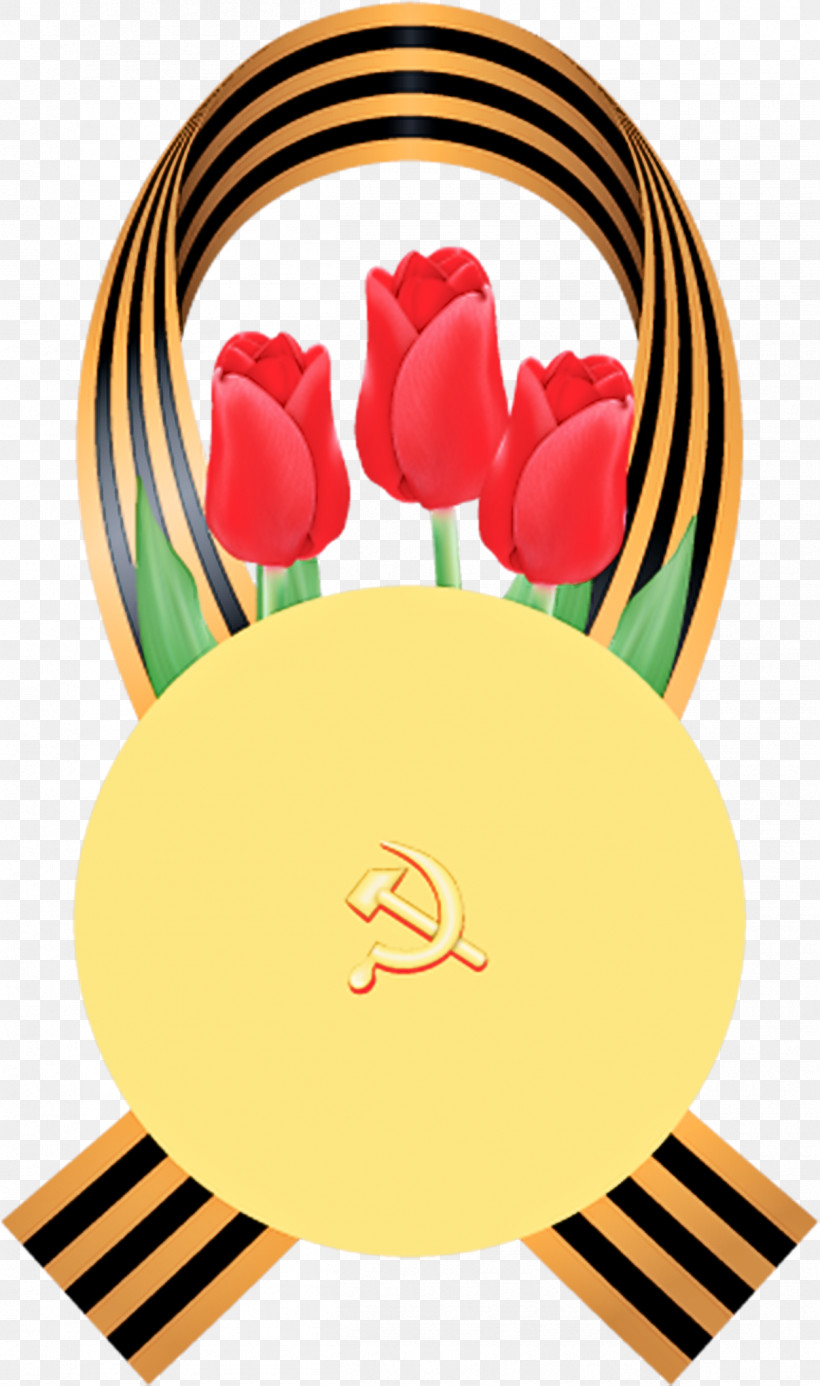 Tulip Plate Plant Dishware Flower, PNG, 1253x2119px, Tulip, Dishware, Flower, Lily Family, Plant Download Free